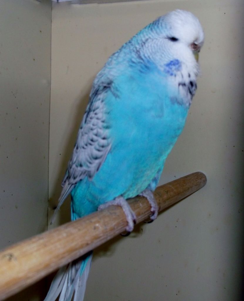 2014 006.JPG